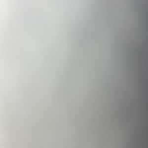 Tom Cann profile