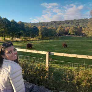 Rhino Cove profile