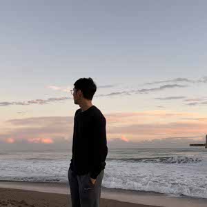 Dennis ZZM profile