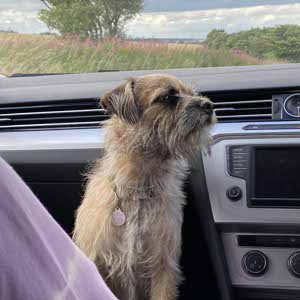 Poppy Ridgway profile