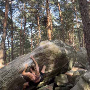 Bryony Mutton profile