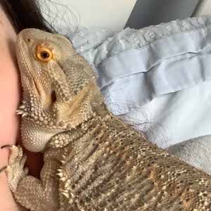 Rae Platton profile