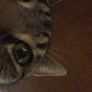 skye s profile