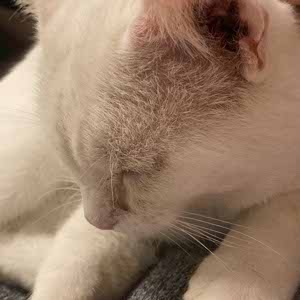 Madeleine Furness profile