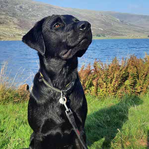 Elaine Barker profile