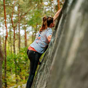 Sylvie Ward profile