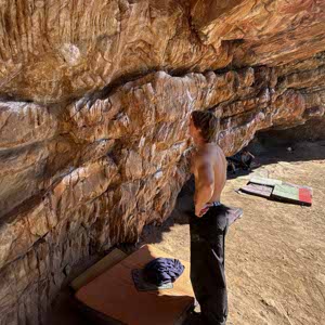 Caelen McShane profile