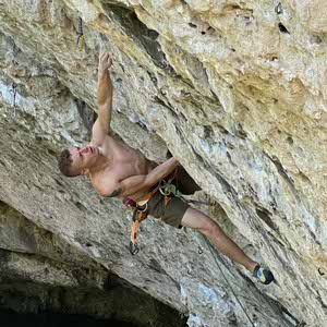 John Beesley profile