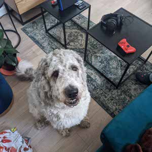 Fergus Allan profile