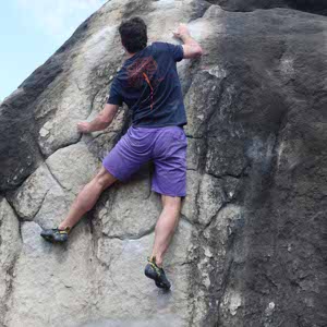Adam Bohl profile