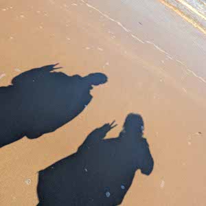 Elysia Cotterill profile