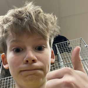 Will Bebb profile
