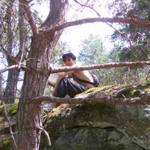 sol paek profile