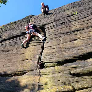 josie williamson profile