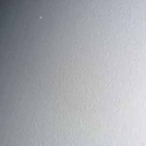Frank Yau profile