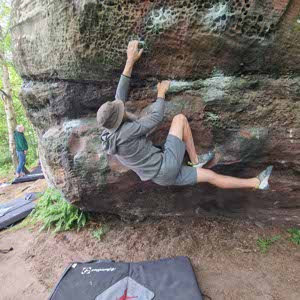Mark Robinson profile