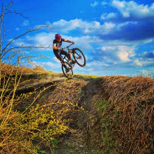 Phil Ryan profile