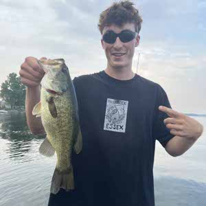 Adrien Gaillard profile
