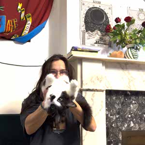 Alice Mrz profile