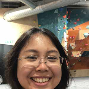 Han Nguyen profile
