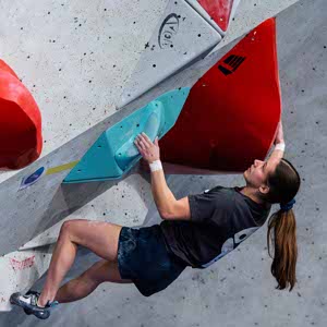 Fran Goossens profile