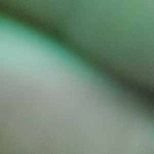 Rupert Riddle profile
