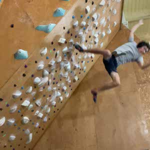 Stepper Bloomfield profile