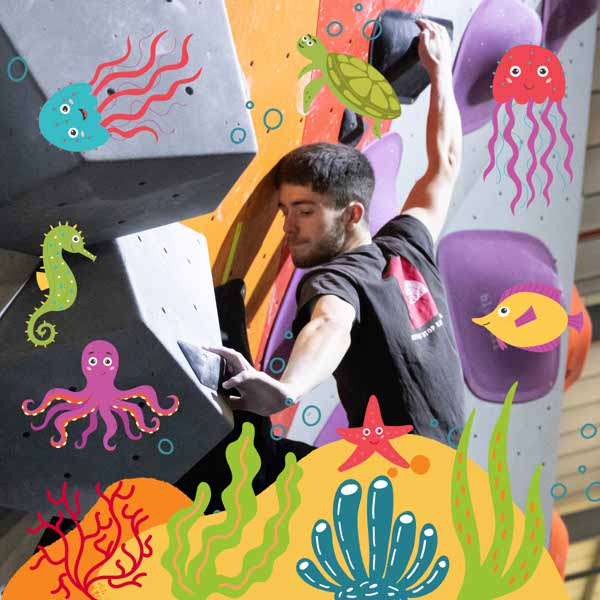 Under The Sea Summer Comp