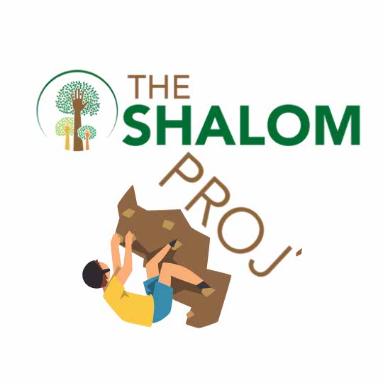 The Shalom Proj